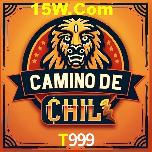T999 Rio de Janeiro - Bonus Terms
