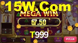 Player Reviews T999